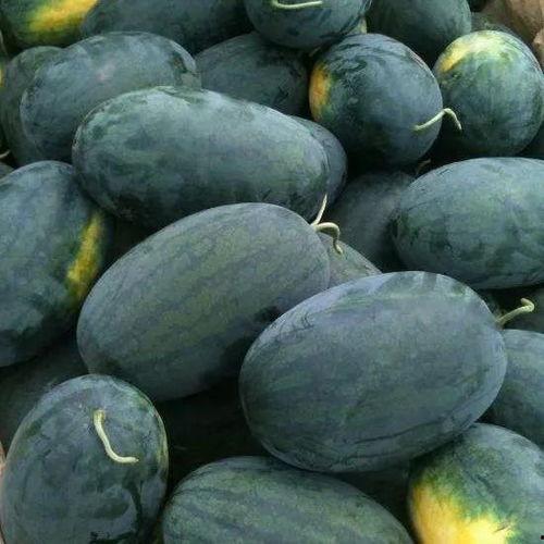 京瓜咋吃,解锁夏日清新美味