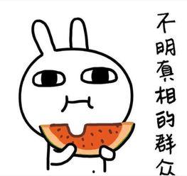 吃瓜日语直译,揭秘日本流行语背后的文化内涵