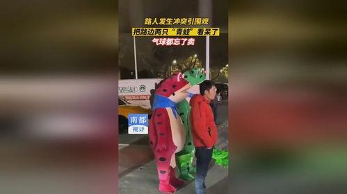 路边青蛙吃瓜,路边青蛙的夏日瓜果盛宴