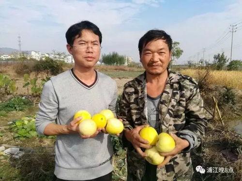 吃瓜群众活动文案,吃瓜群众共赴瓜果盛宴